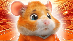 Hamster Kombat Daily Combos Today
