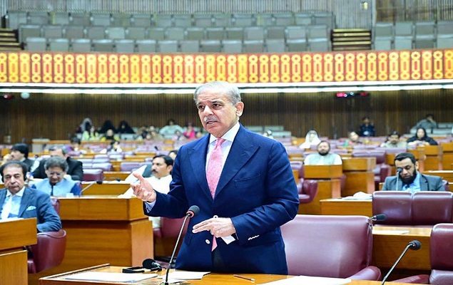 Shehbaz tells NA no decision on wheat export made yet