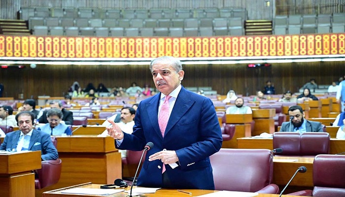 Shehbaz tells NA no decision on wheat export yet