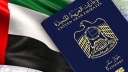 UAE visit visa fee