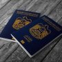 UAE announces major change in passport policy for citizens