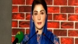 CM Punjab