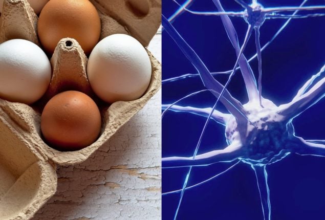 Eggs may slow down cognitive decline, new study