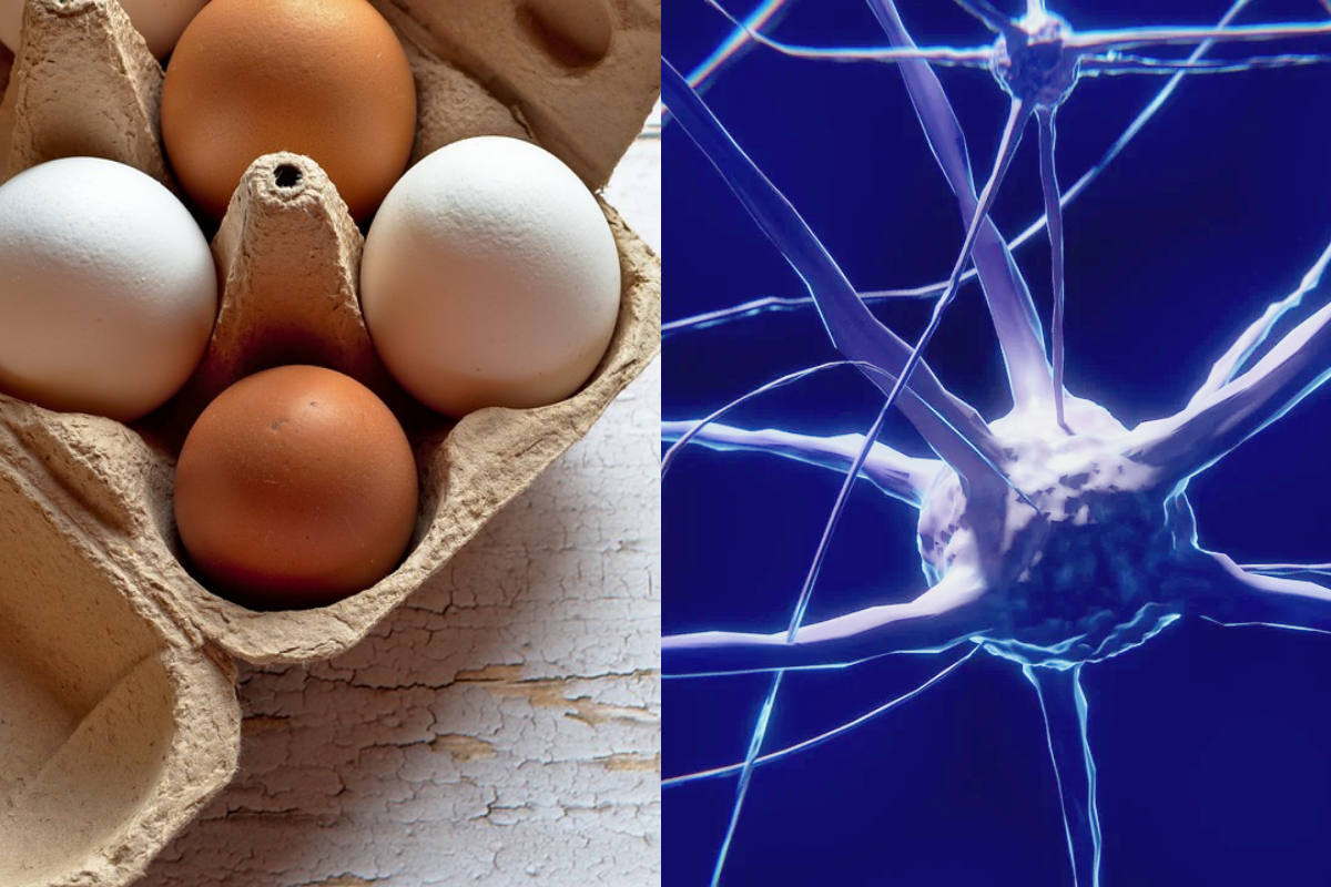 Egg consumption