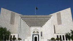 Federal Govt