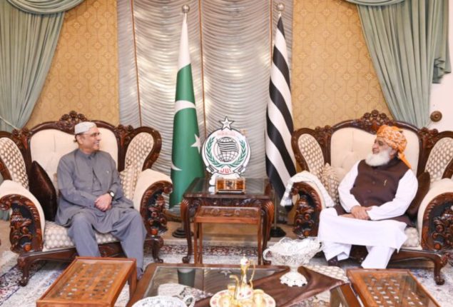 President Zardari meets JUI-F chief Maulana Fazal ur Rehman