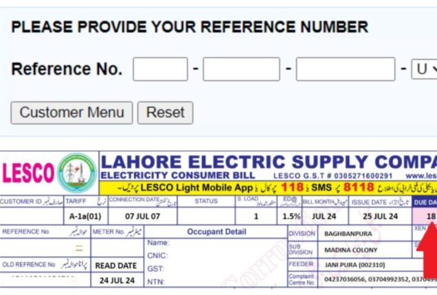 How to download July 2024 electricity bill in Lahore, other cities; details inside