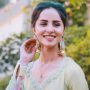 Nimra Khan Case: Police Clarify It Was Harassment, Not an Abduction Attempt
