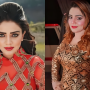 Shooting at Stage Star Feroza Ali’s Car Injures Choreographer