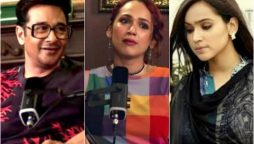 Faysal Quraishi Discusses Challenging Scene with Faryal Mehmood in Bheegi Palkain