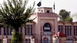 Govt appoints