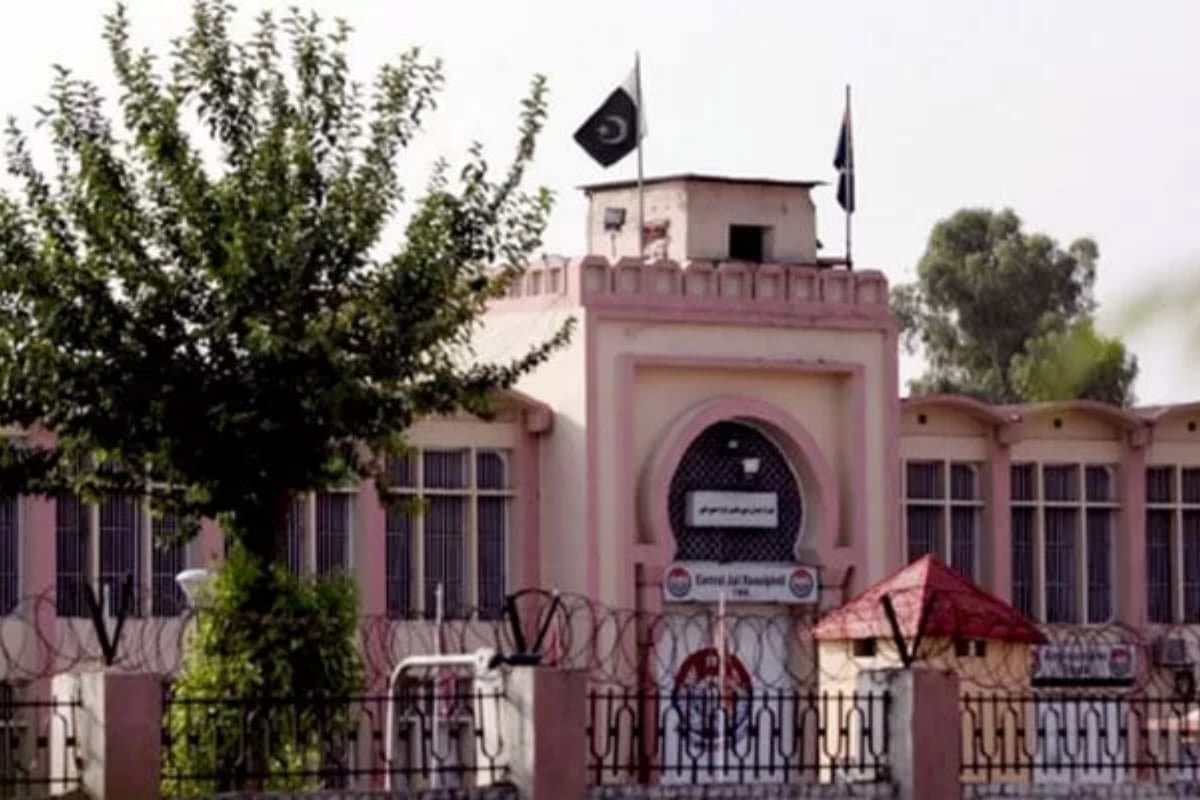 Govt appoints