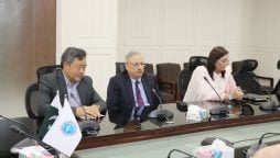 PMDC