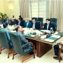 PM Shehbaz Sharif orders tight vigilance against mpox amid global outbreak threat