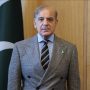 Govt, institutions working to steer country out of crises: PM
