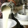 Fines imposed on Karachi dairy associations for milk price hike