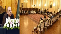 Zardari urges viable solution to rising energy costs