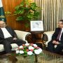 ADB Country Director calls on President Zardari