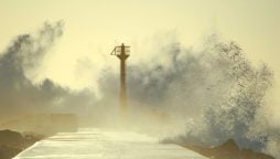 Japan: Typhoon Shanshan hits Kyushu