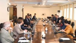 Aurangzeb discusses investment opportunities with foreign investors
