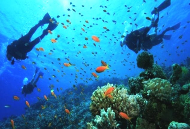 Churna Island becomes second marine protected area in Pakistan