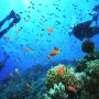 Churna Island becomes second marine protected area in Pakistan