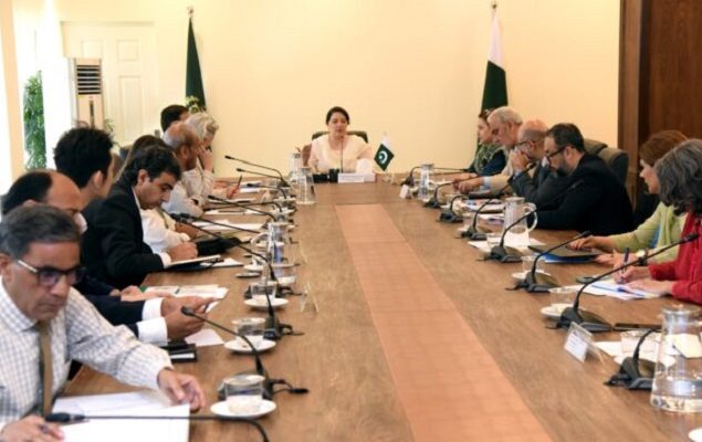 Pakistan to showcase climate actions, solutions at COP29: Romina Alam