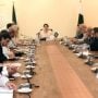 Pakistan to showcase climate actions, solutions at COP29: Romina Alam