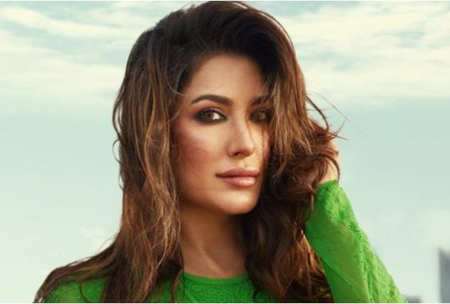 Mehwish Hayat’s Return to TV After Eight Years?