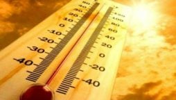WMO warns Africa of economic challenges due to rising temperatures