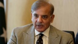 PM Shehbaz