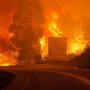 Portugal’s forest fires lead to severe Motorway closures