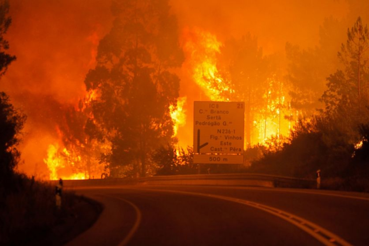 Portugal's forest fires lead to severe Motorway closures