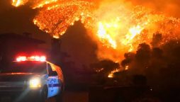 Portugal battles final deadly forest fires in the North