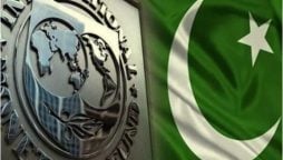 IMF