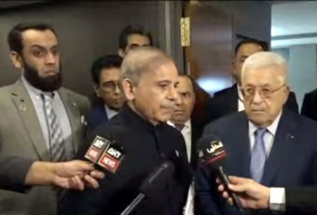 PM calls for global unity for immediate ceasefire in Gaza