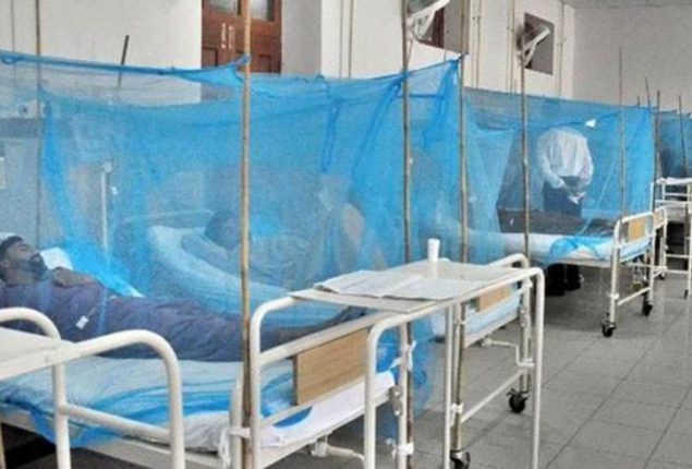 Dengue outbreak likely to occur in major cities in October  