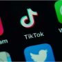 TikTok Collaborates with WHO for Mental Health Campaign