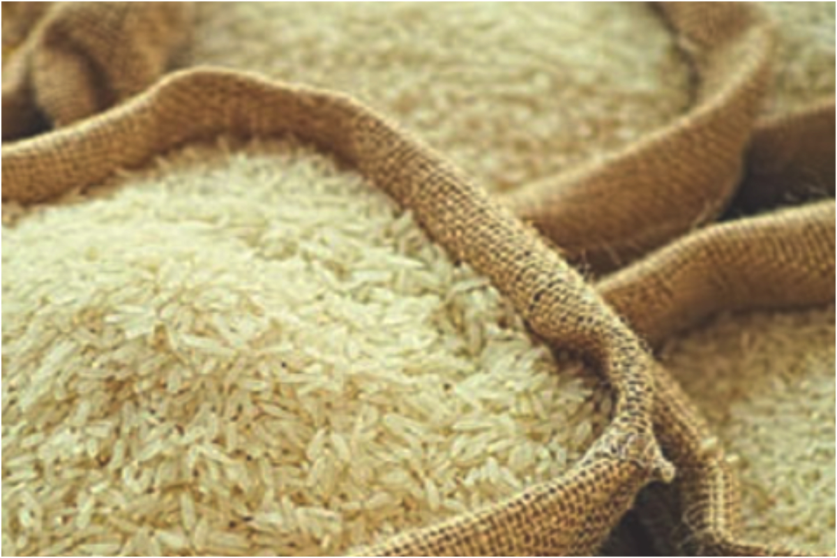 Pakistan's rice exports surge in first quarter
