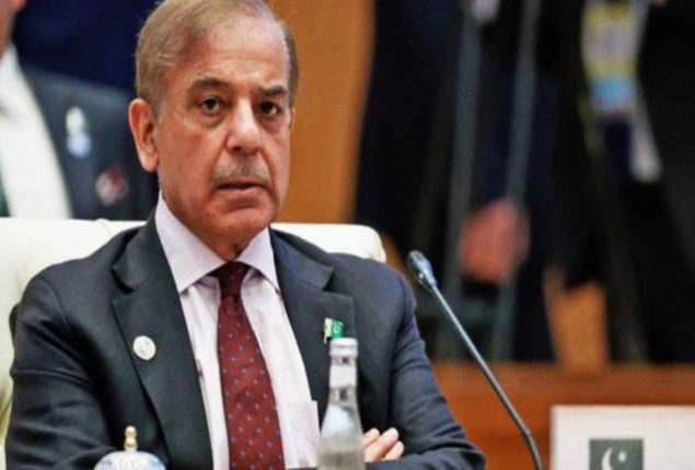 Shehbaz Sharif appoints 20 MNAs as parliamentary secretaries