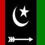 PPP secures victory in Rahim Yar Khan by-election with big lead