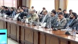 Chinese business delegation visits SIFC