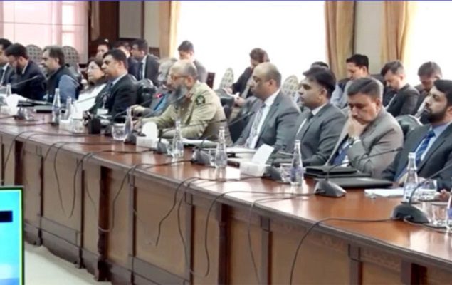 Chinese business delegation visits SIFC
