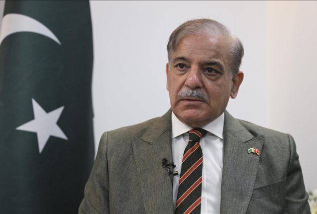 PM Shehbaz expresses satisfaction over inflation rate drop, economic stability