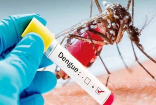 Punjab reports 79 new dengue cases