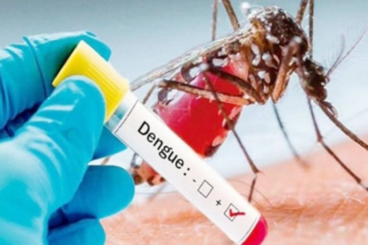 Punjab reports 79 new dengue cases