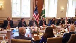Aurangzeb invites US firms, investors to explore opportunities in Pakistan
