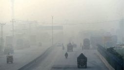 Governor Punjab demands smog emergency in province