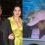 Tina Ahuja addresses Govinda’s bullet injury, urges fans to pray for his recovery