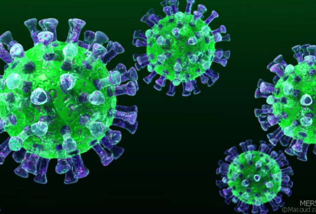 Pakistan registers first MERS Coronavirus case